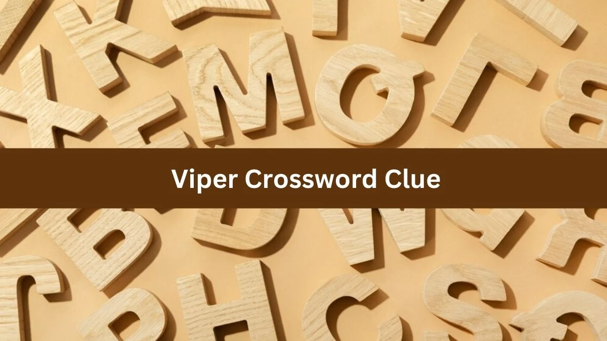 Metro Quick Viper Crossword Clue Answers with 5 Letters