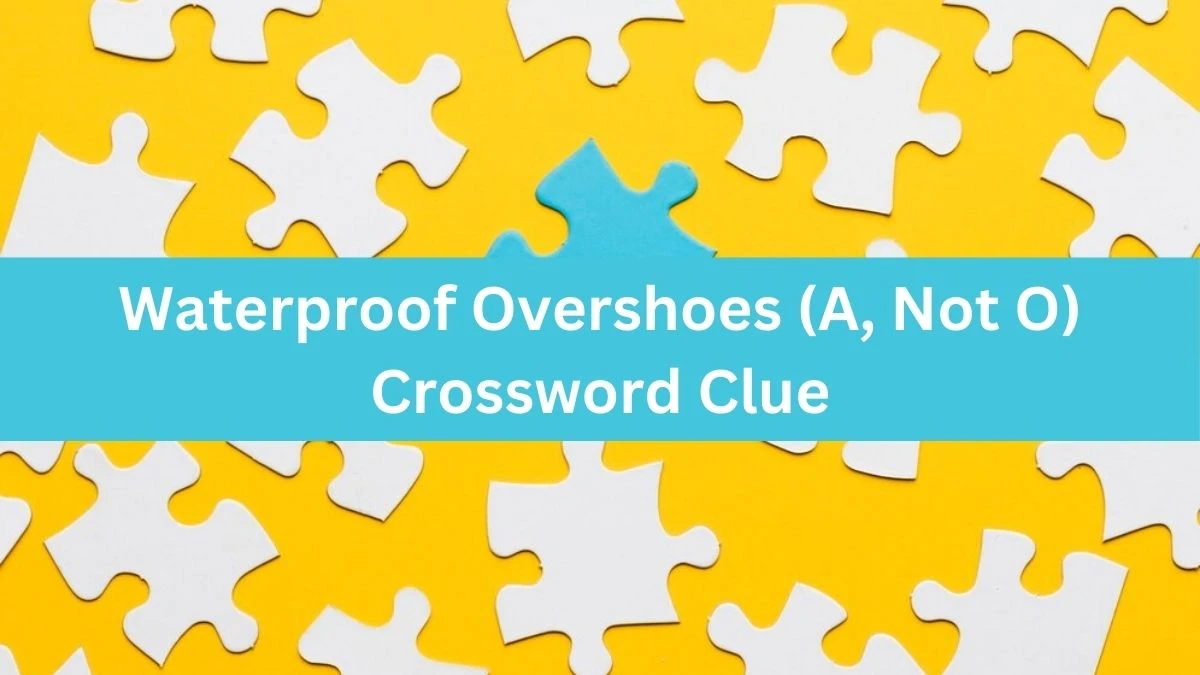 The Times Concise Waterproof Overshoes (A, Not O) Crossword Clue Answers with 8 Letters