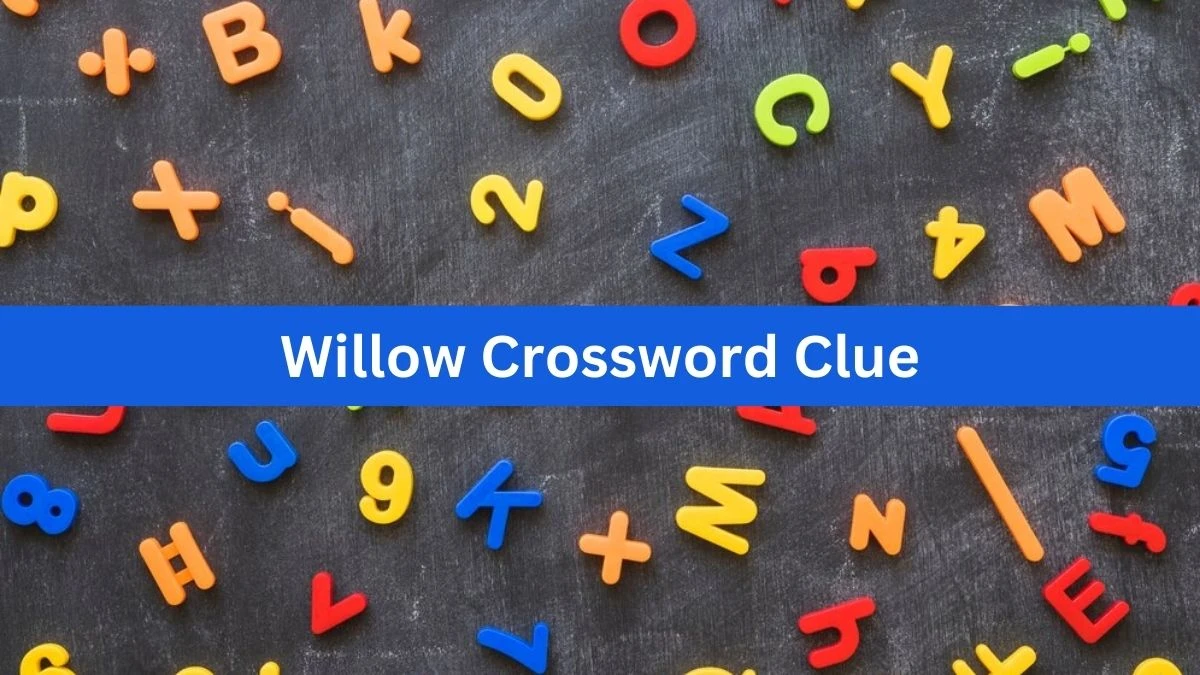 Metro Quick Willow Crossword Clue Answers with 5 Letters