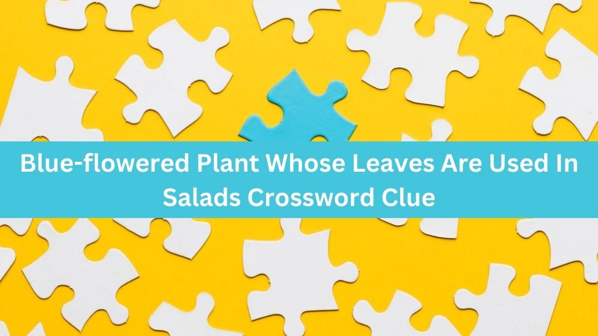 The Times Concise Blue-flowered Plant Whose Leaves Are Used In Salads Crossword Clue Answers with 7 Letters