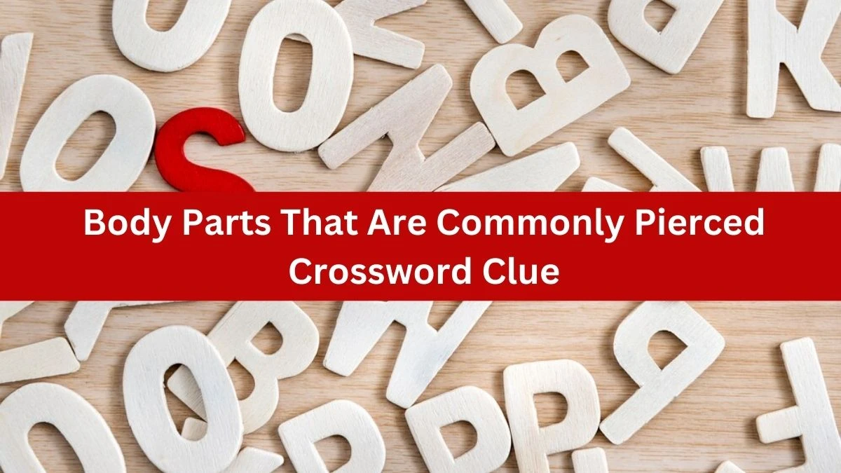 The Times Concise Body Parts That Are Commonly Pierced Crossword Clue Answers with 8 Letters