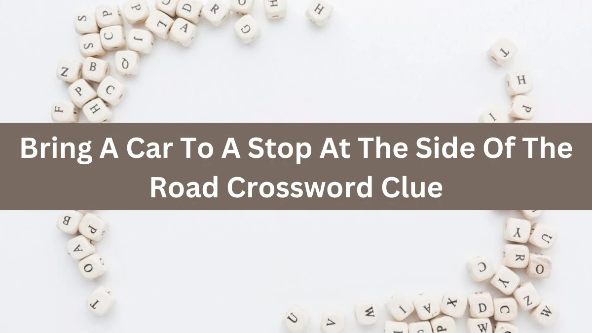 The Times Concise Bring A Car To A Stop At The Side Of The Road Crossword Clue Answers with 8 Letters