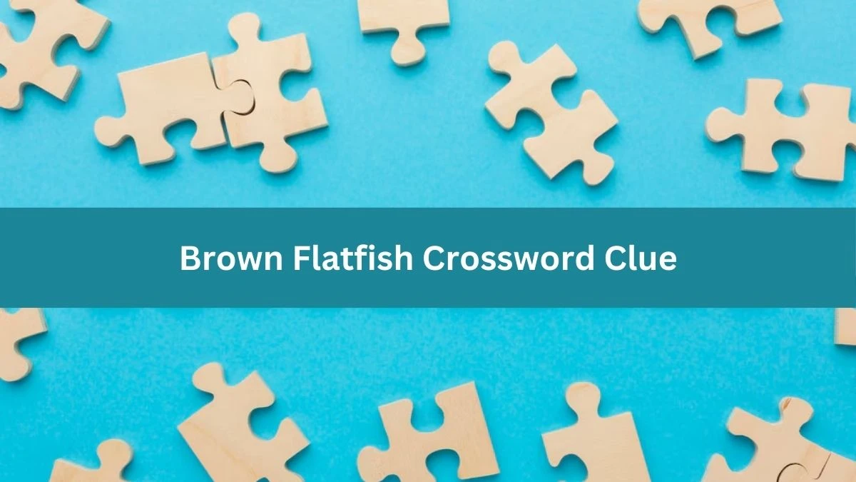 Metro Quick Brown Flatfish Crossword Clue Answers with 3 Letters