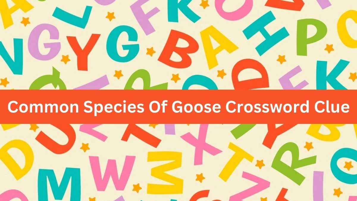 The Times Concise Common Species Of Goose Crossword Clue Answers with 7 Letters