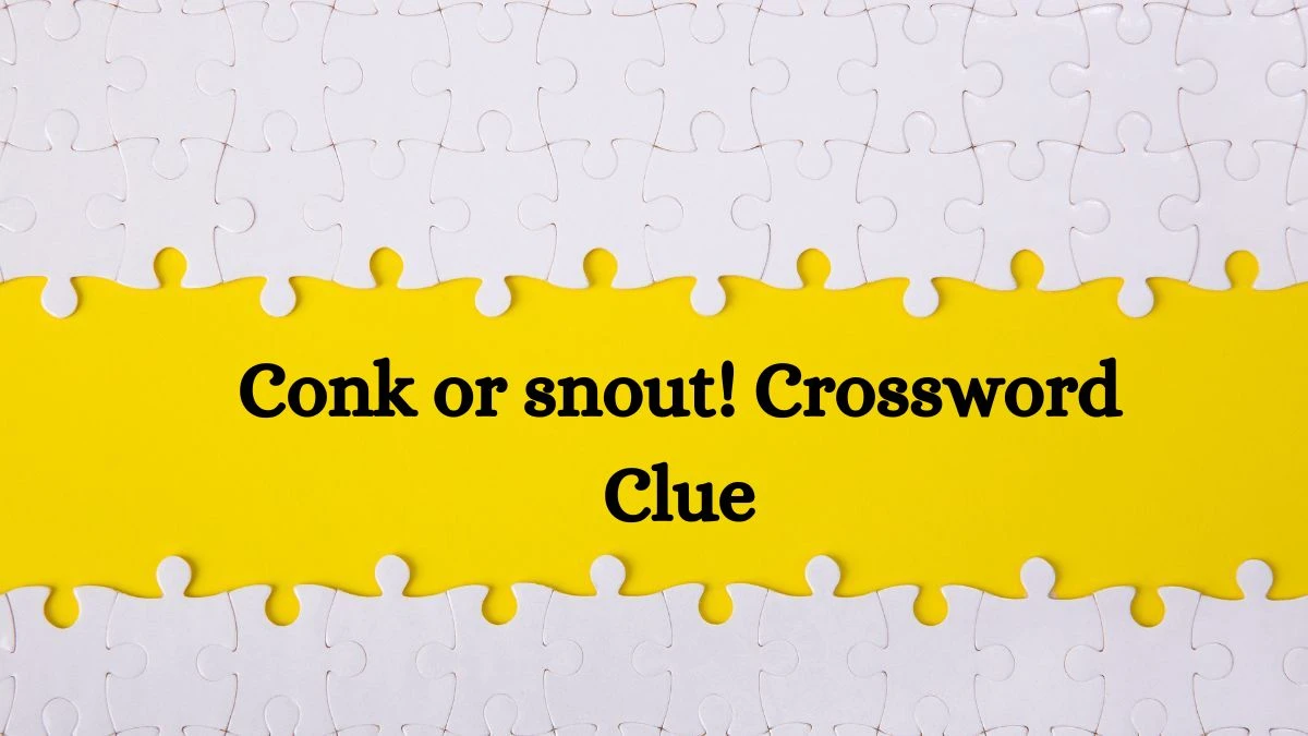 Mirror Quick Conk or snout! Crossword Clue Answers with 6 Letters