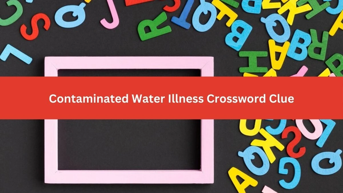 Mirror Quick Contaminated Water Illness Crossword Clue Answers with 7 Letters