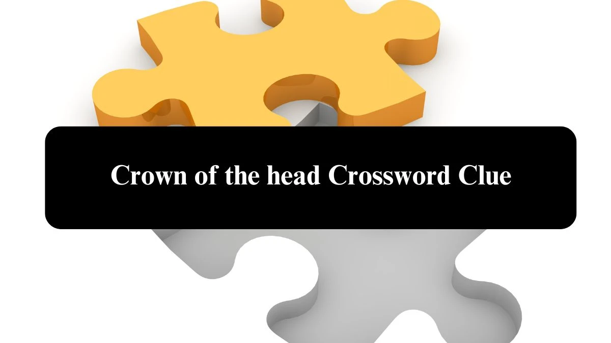 The Sun Mini Crown of the head Crossword Clue Answers with 4 Letters