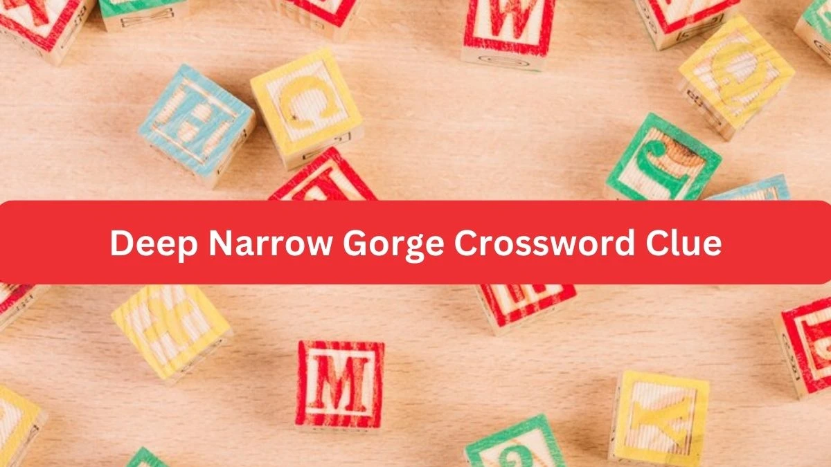 Metro Quick Deep Narrow Gorge Crossword Clue Answers with 6 Letters