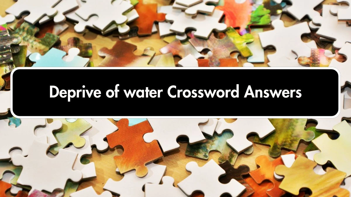 The Times Concise Deprive of water Crossword Clue Answers with 5 Letters