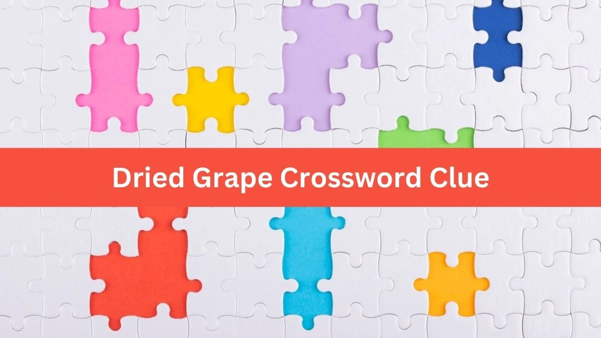 Metro Quick Dried Grape Crossword Clue Answers with 6 Letters