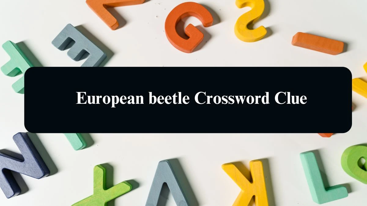 The Sun Mini European beetle Crossword Clue Answers with 6 Letters