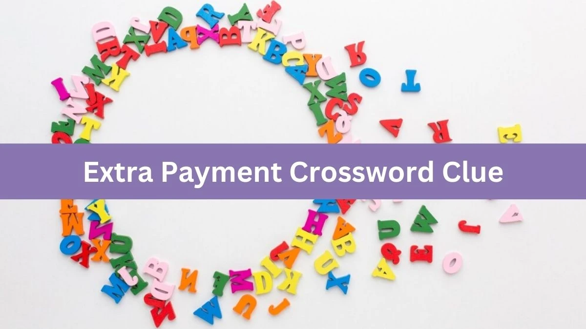 Mirror Quick Extra Payment Crossword Clue Answers with 5 Letters