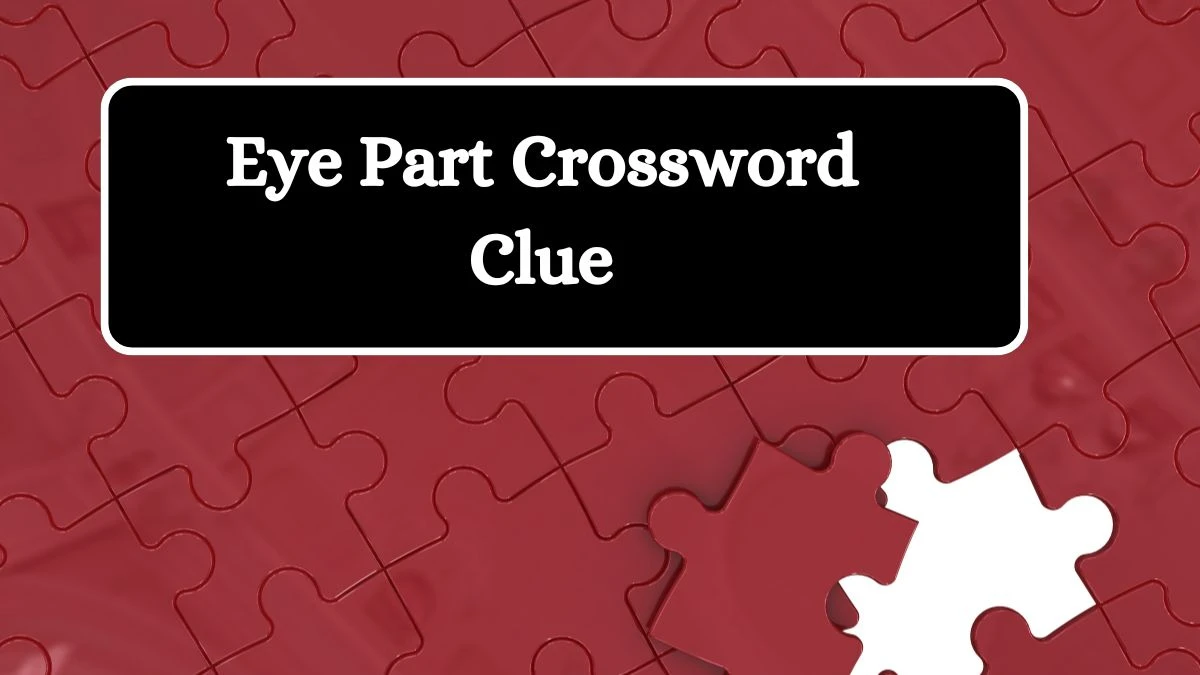 Mirror Quick Eye Part Crossword Clue Answers with 6 Letters