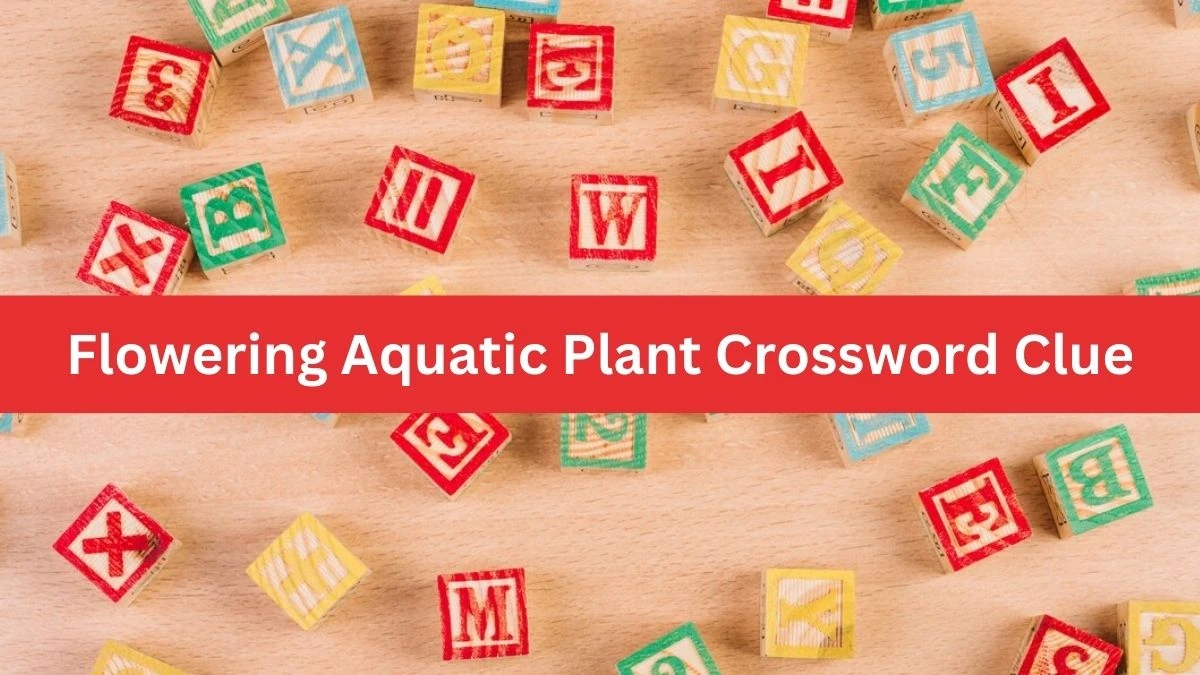 Mirror Quick Flowering Aquatic Plant Crossword Clue Answers with 5 Letters