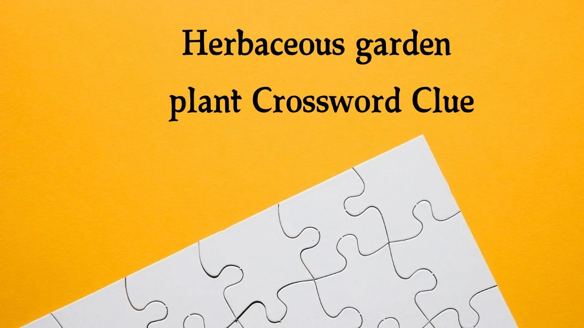 The Sun Mini Herbaceous garden plant Crossword Clue Answers with 7 Letters