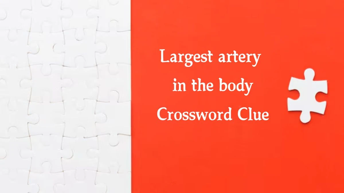 Daily Telegraph Plusword Largest artery in the body Crossword Clue Answers with 5 Letters