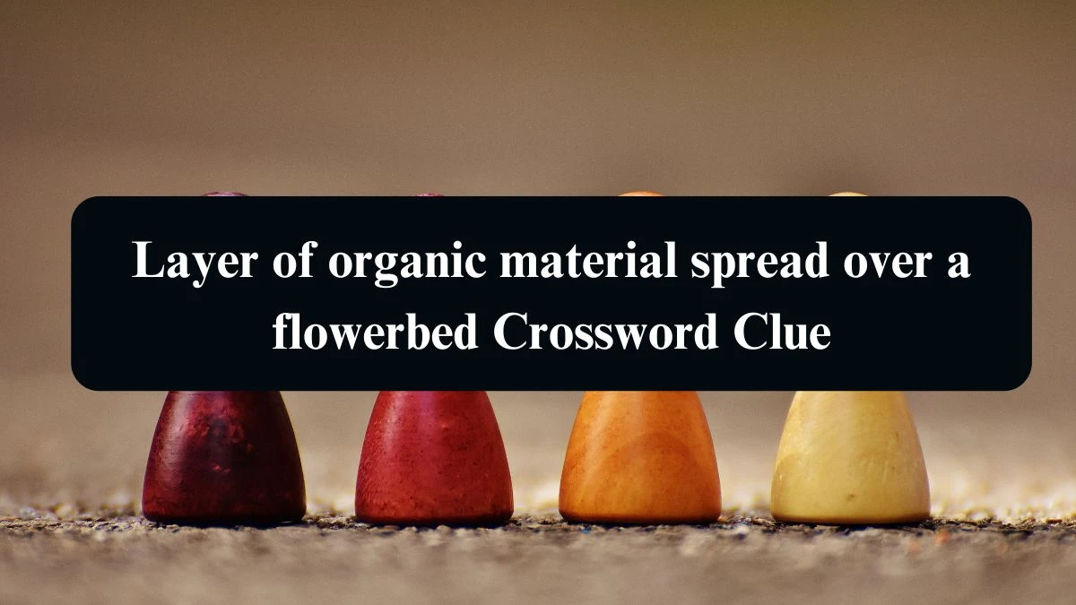 The Times Concise Layer of organic material spread over a flowerbed Crossword Clue Answers with 5 Letters