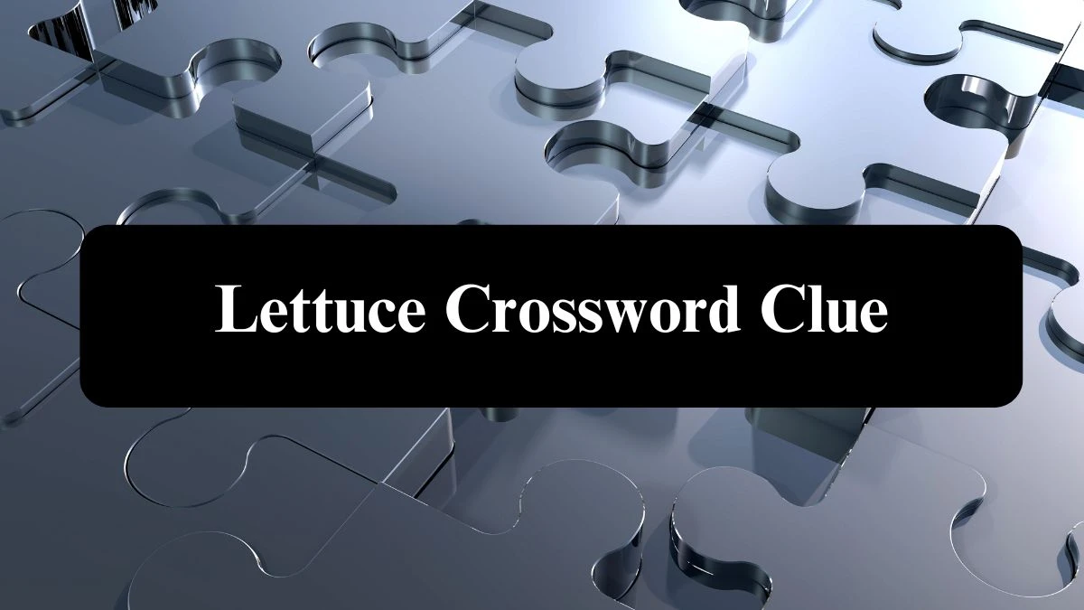 Metro Quick Lettuce Crossword Clue Answers with 3 Letters