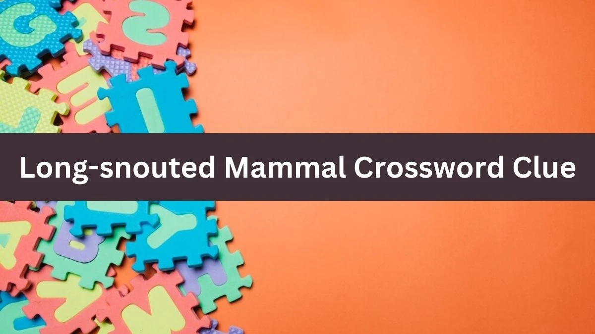 Metro Quick Long-snouted Mammal Crossword Clue Answers with 5 Letters