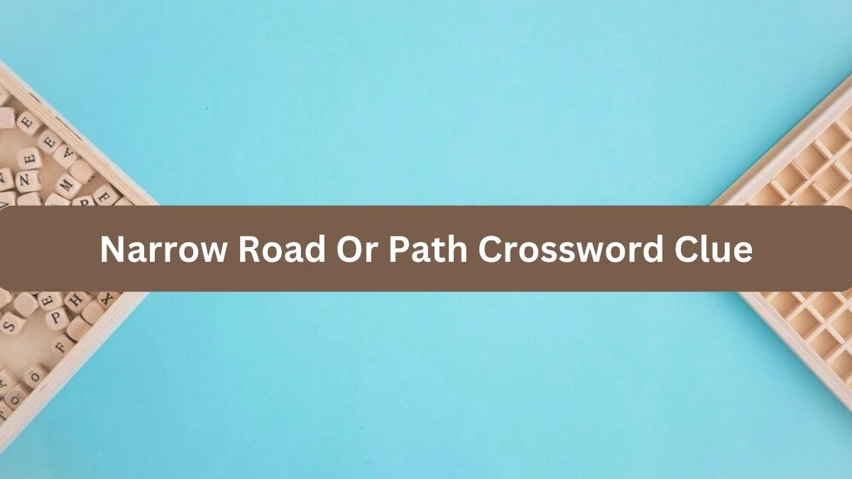 Metro Quick Narrow Road Or Path Crossword Clue Answers with 4 Letters