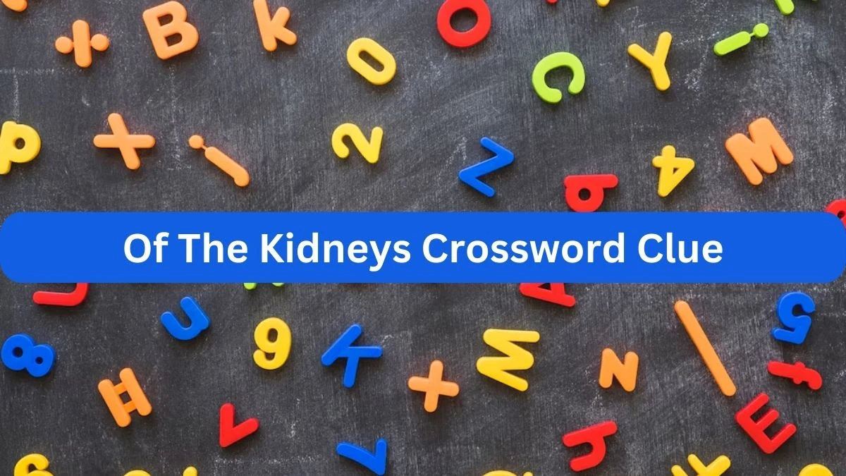 Mirror Quick Of The Kidneys Crossword Clue Answers with 5 Letters