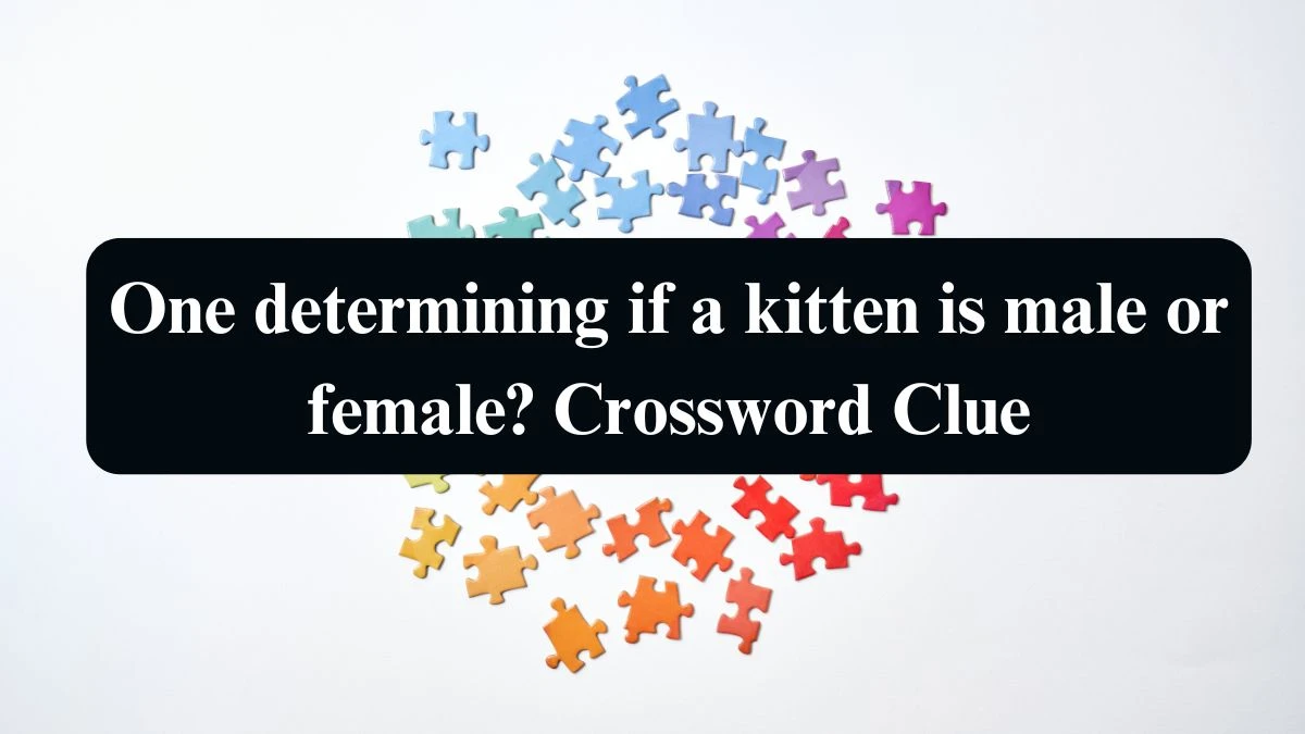 Daily Telegraph Plusword One determining if a kitten is male or female? Crossword Clue Answers with 5 Letters