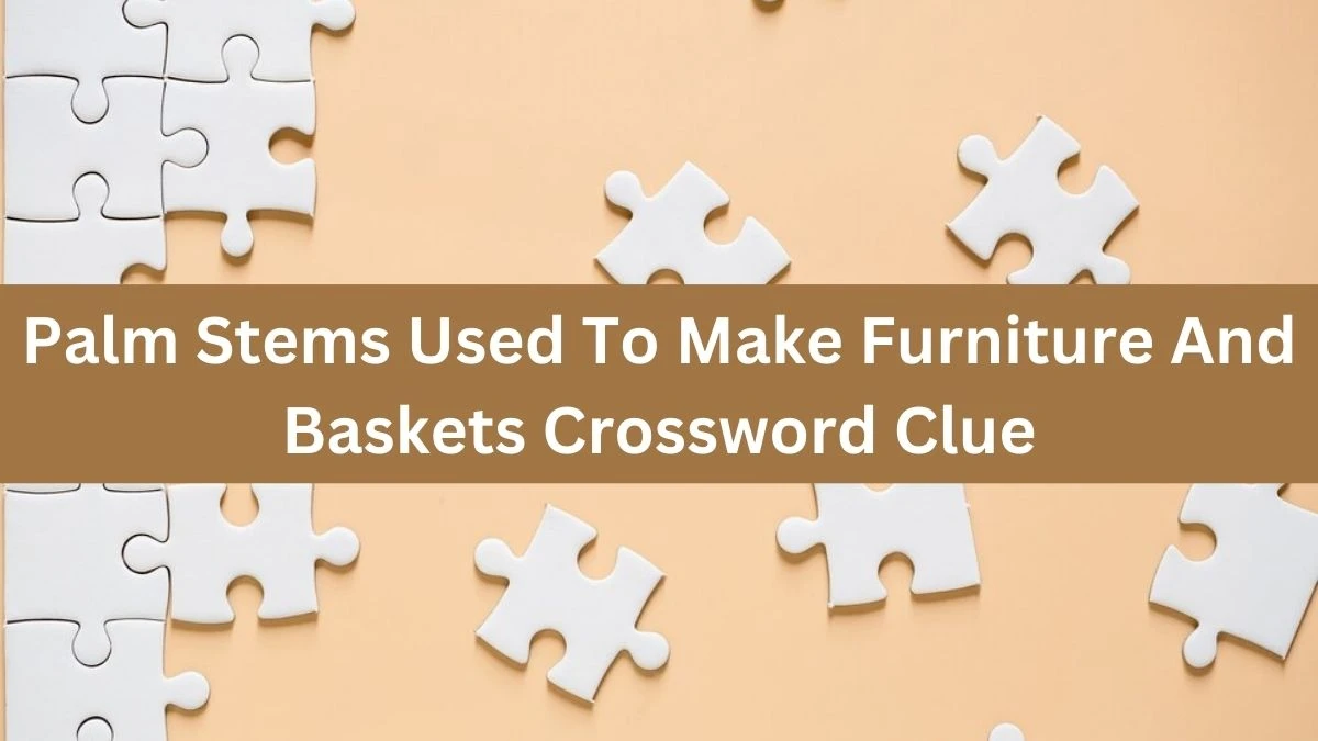 The Times Concise Palm Stems Used To Make Furniture And Baskets Crossword Clue Answers with 6 Letters