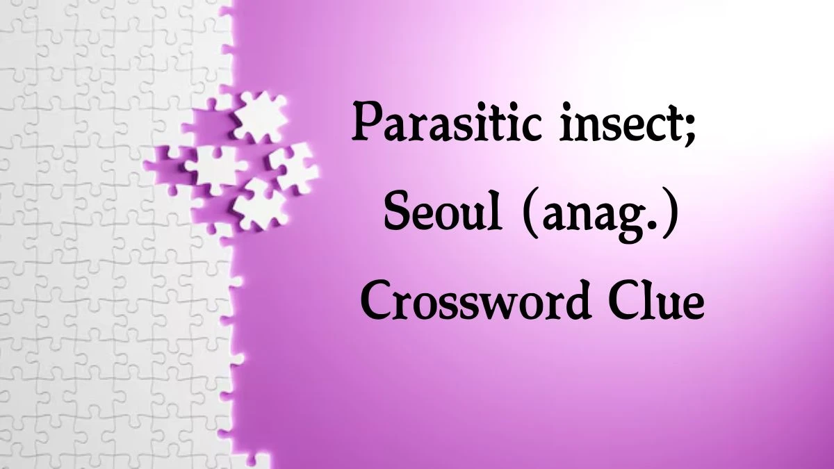 Daily Telegraph Plusword Parasitic insect; Seoul (anag.) Crossword Clue Answers with 5 Letters