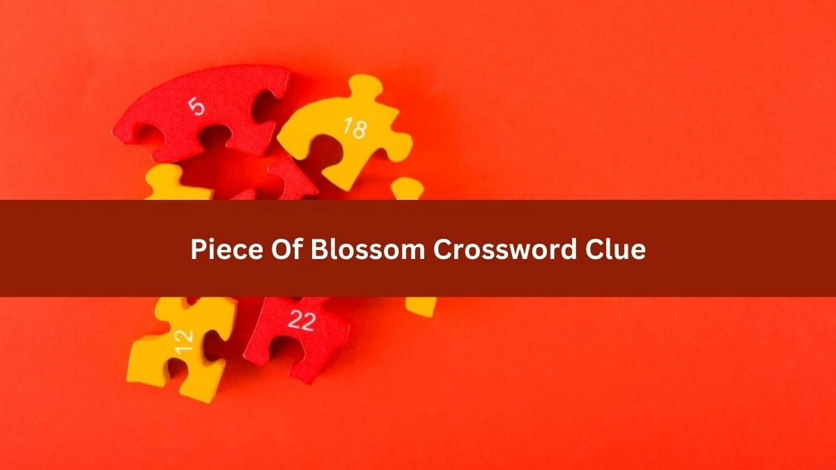 Mirror Quick Piece Of Blossom Crossword Clue Answers with 5 Letters