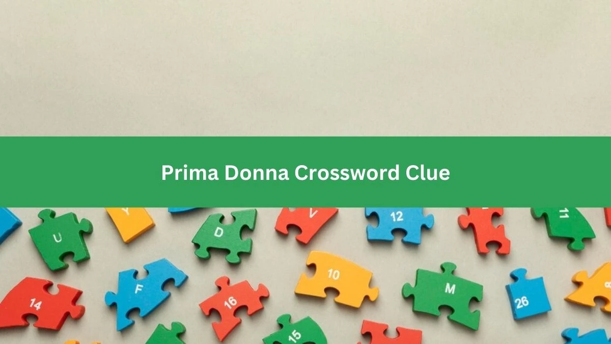 Mirror Quick Prima Donna Crossword Clue Answers with 4 Letters