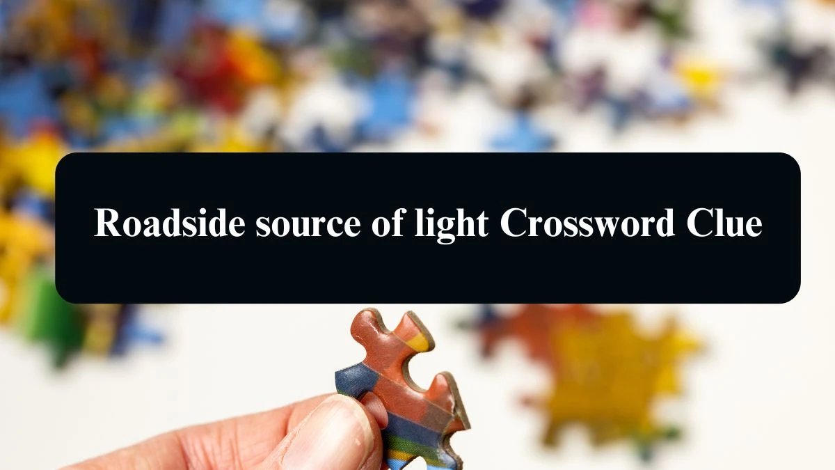 The Times Concise Roadside source of light Crossword Clue Answers with 8 Letters