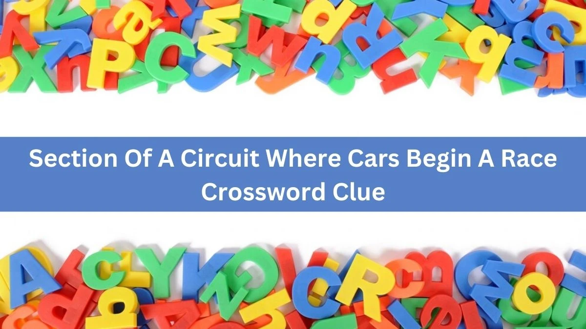 The Times Concise Section Of A Circuit Where Cars Begin A Race Crossword Clue Answers with 12 Letters