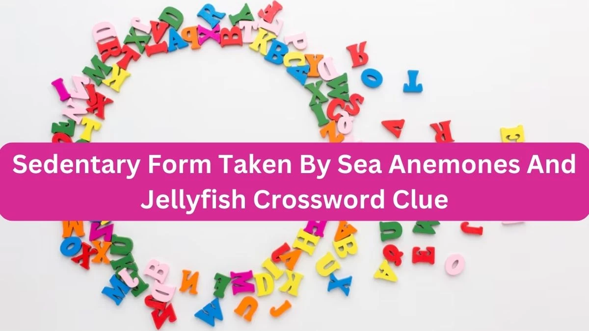 The Times Concise Sedentary Form Taken By Sea Anemones And Jellyfish Crossword Clue Answers with 5 Letters