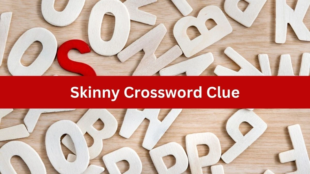 Metro Quick Skinny Crossword Clue Answers with 4 Letters