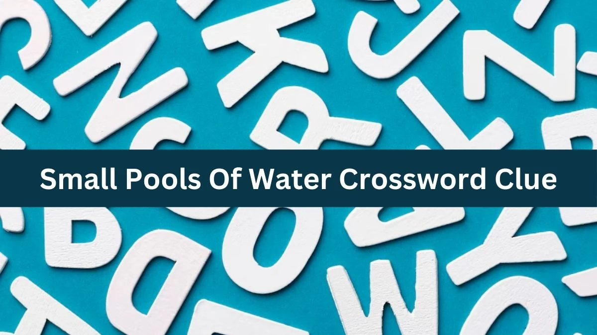 Metro Quick Small Pools Of Water Crossword Clue Answers with 7 Letters