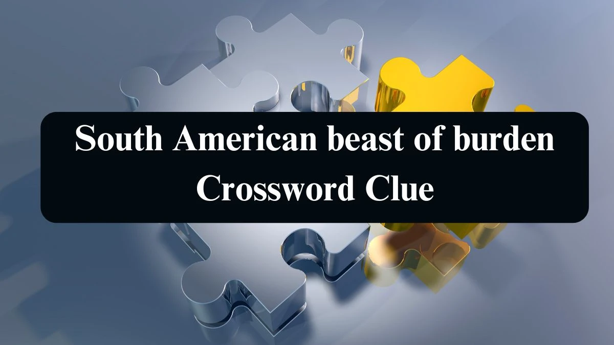 Daily Telegraph Plusword South American beast of burden Crossword Clue Answers with 5 Letters