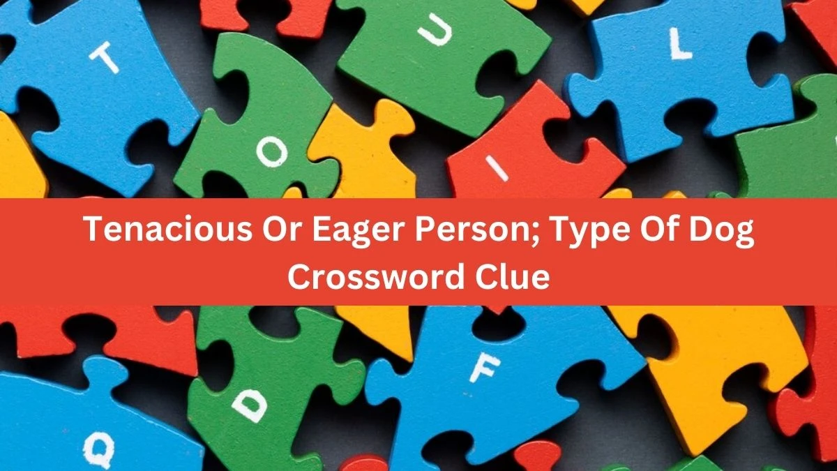 The Times Concise Tenacious Or Eager Person; Type Of Dog Crossword Clue Answers with 7 Letters