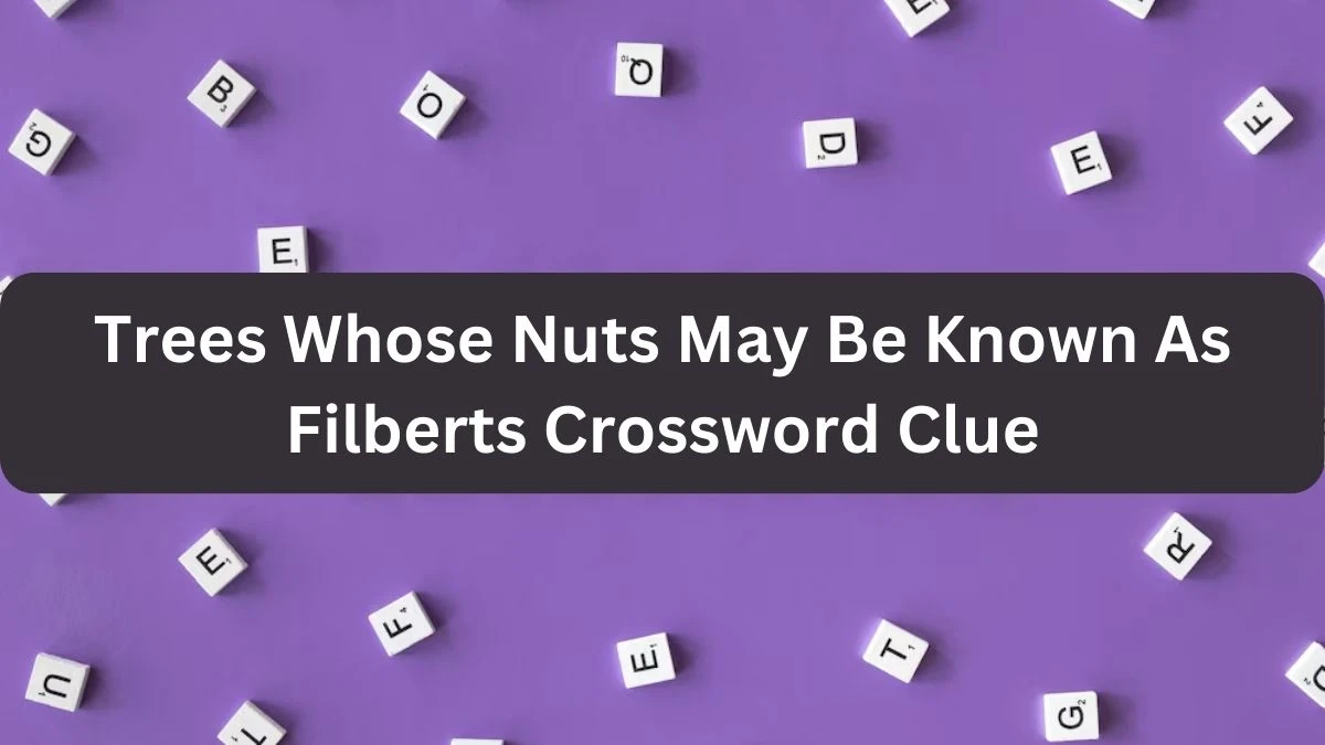 The Times Concise Trees Whose Nuts May Be Known As Filberts Crossword Clue Answers with 6 Letters