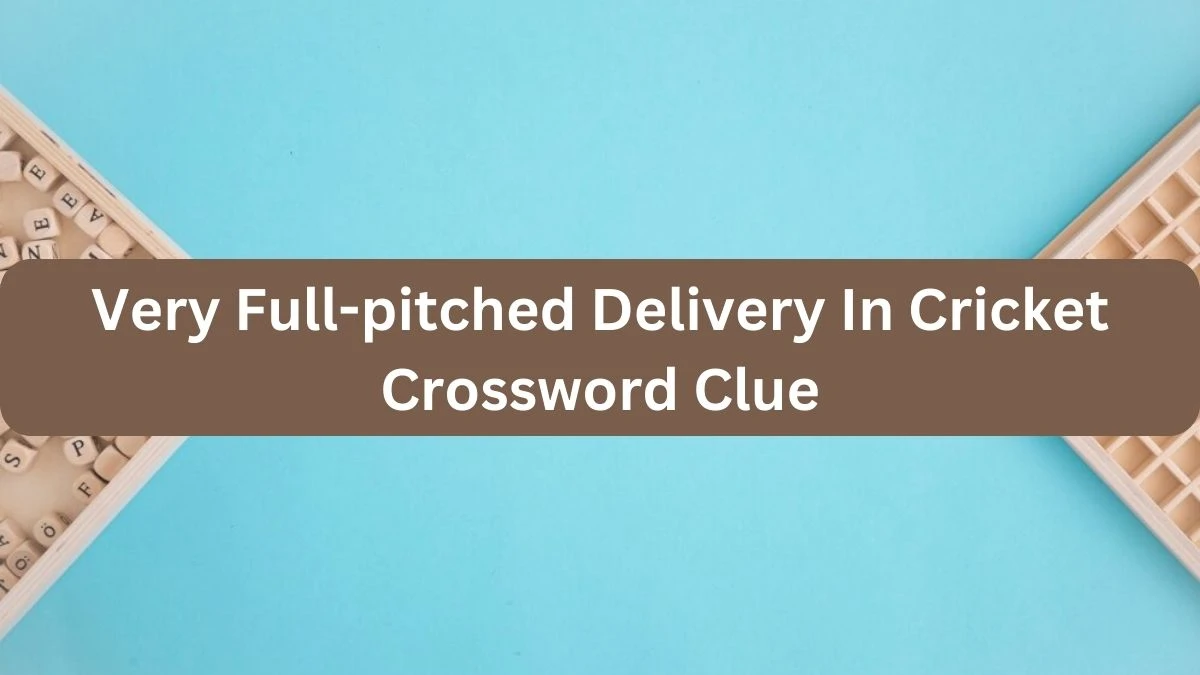 The Times Concise Very Full-pitched Delivery In Cricket Crossword Clue Answers with 6 Letters