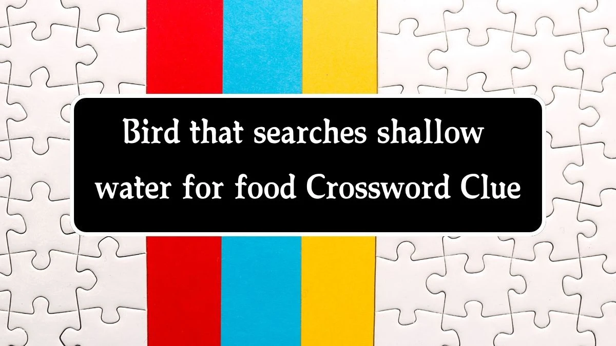 Daily Telegraph Plusword Bird that searches shallow water for food Crossword Clue Answers with 5 Letters