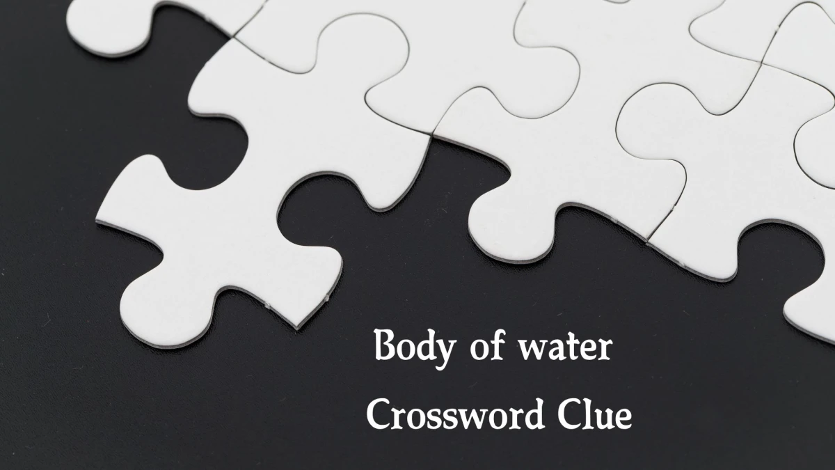 Metro Quick Body of water Crossword Clue Answers with 3 Letters