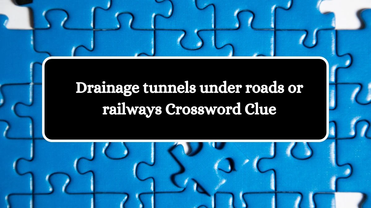 The Times Concise Drainage tunnels under roads or railways Crossword Clue Answers with 8 Letters