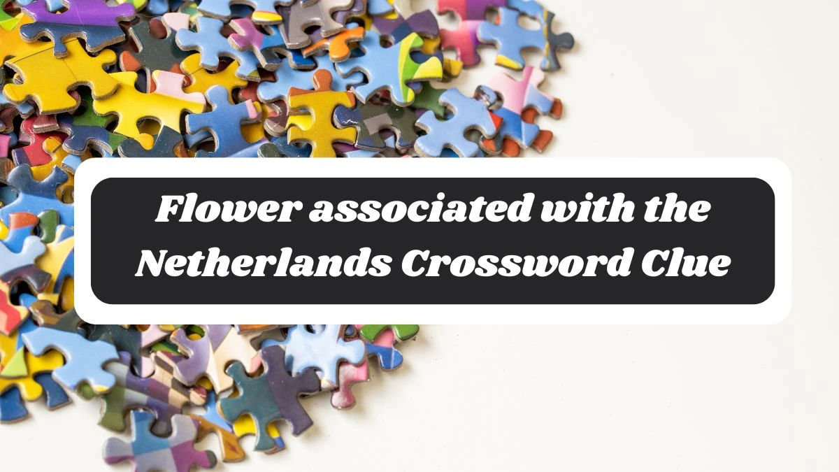 Daily Telegraph Plusword Flower associated with the Netherlands Crossword Clue Answers with 5 Letters