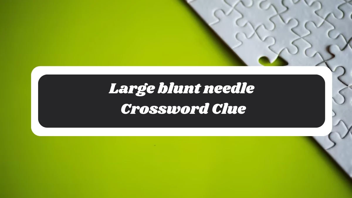 Metro Quick Large blunt needle Crossword Clue Answers with 6 Letters