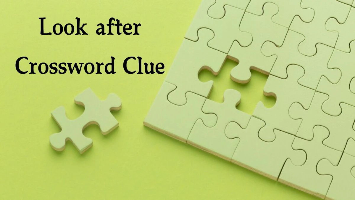 Mirror Quick Look after Crossword Clue Answers with 4 Letters