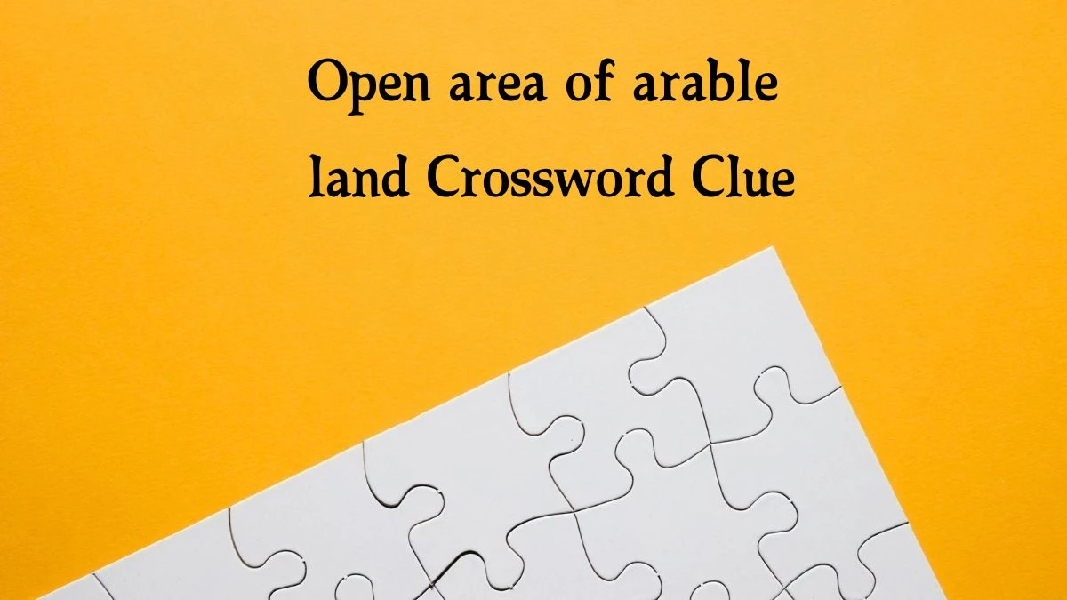 The Sun Mini Open area of arable land Crossword Clue Answers with 3 Letters