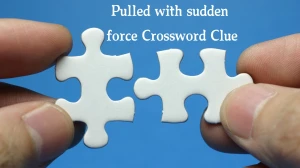 The Times Concise Pulled with sudden force Crossword Clue Answers with 6 Letters