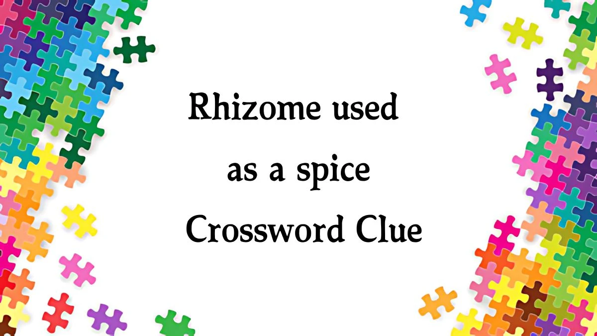 The Times Concise Rhizome used as a spice Crossword Clue Answers with 6 Letters