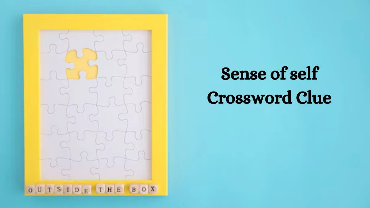 Mirror Quick Sense of self Crossword Clue Answers with 3 Letters