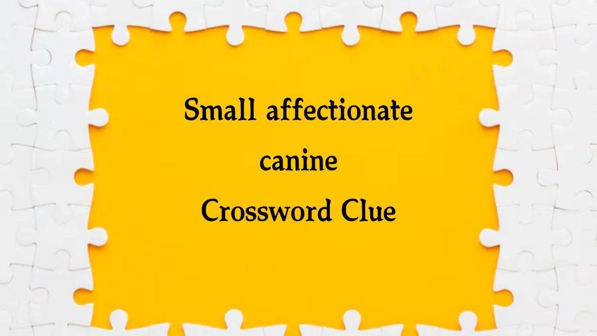 The Times Concise Small affectionate canine Crossword Clue Answers with 6 Letters